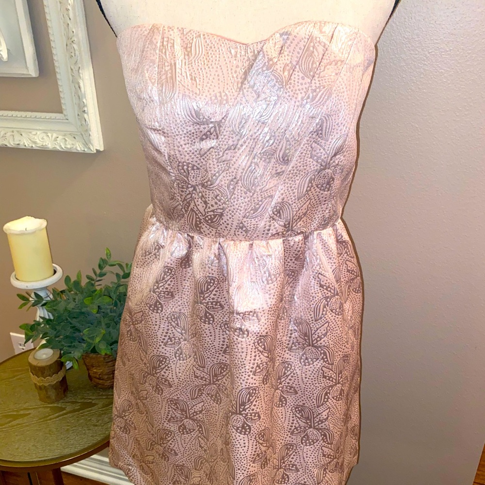 NEW BLUSH & SILVER STRAPLESS DRESS FROM TULLE LOS ANGLES